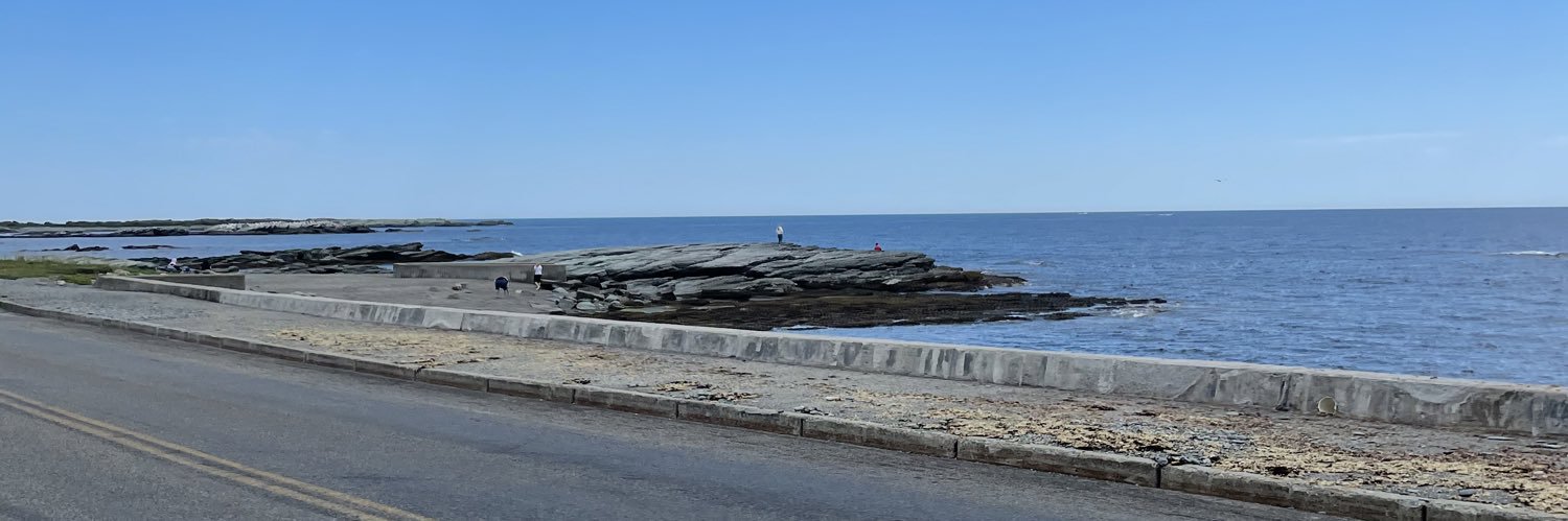 Stephanie Cuddy banner