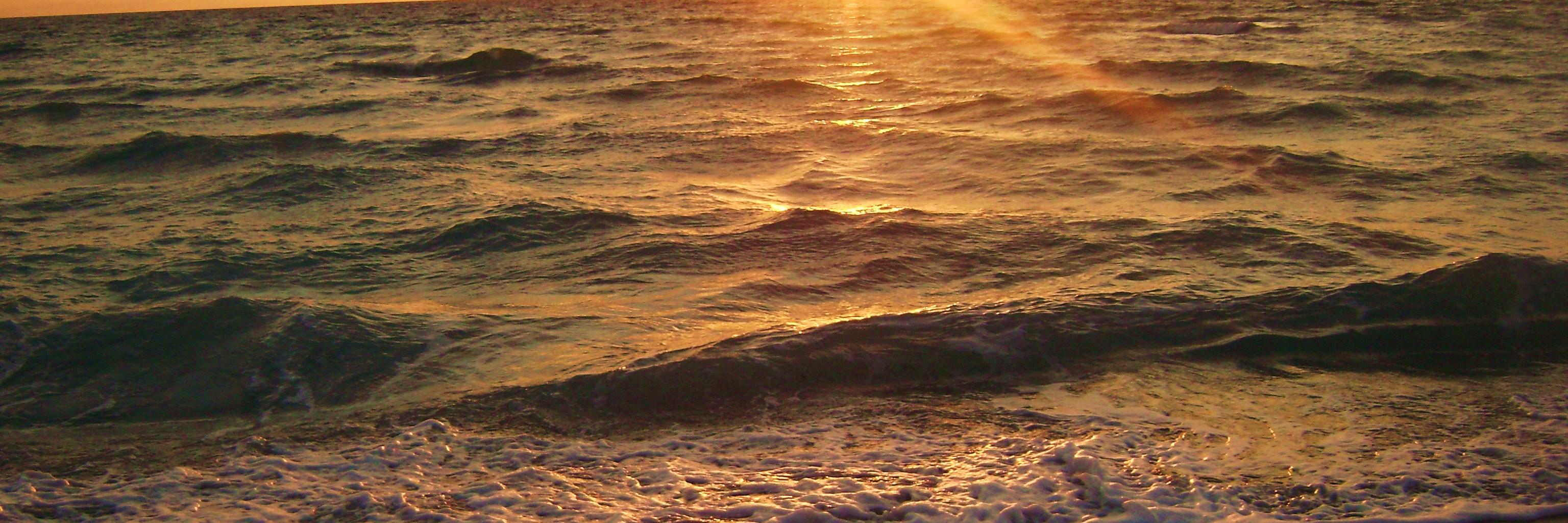 vivpan11's profile banner image