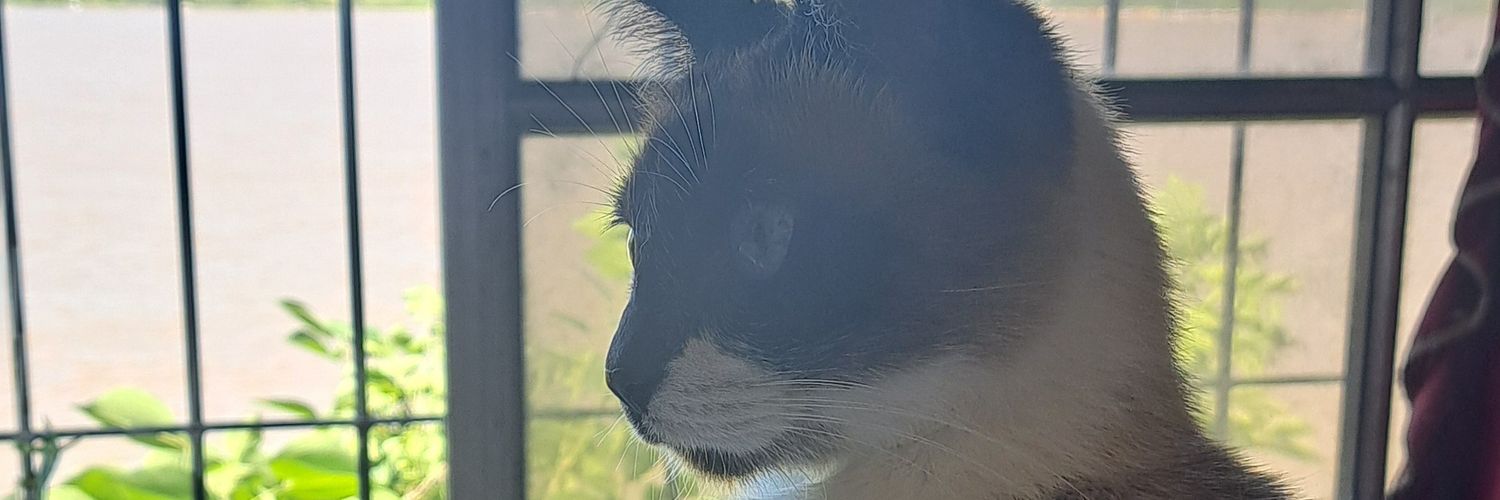 LulaaRc_'s profile banner image