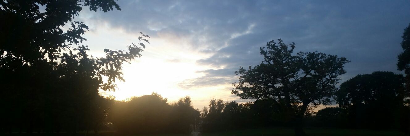 Rebecca Durrant banner