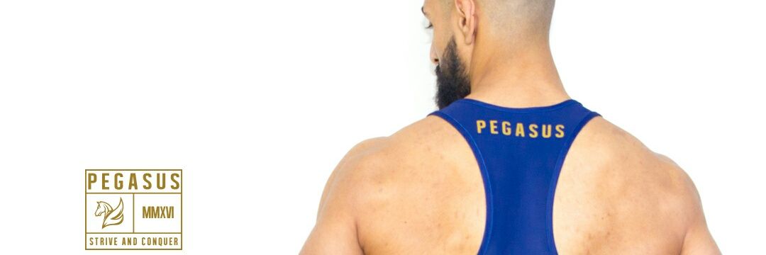 pegasusath's profile banner image