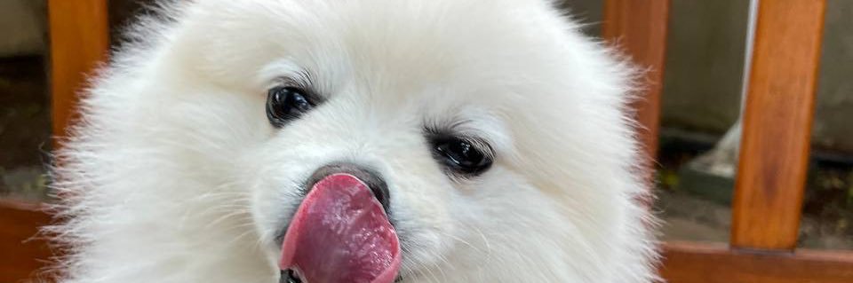 annecostal's profile banner image