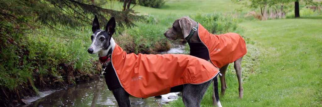 Chilly Dogs Canada banner