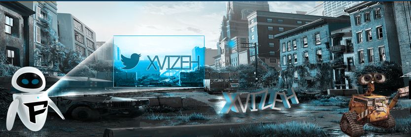 Vizeh banner