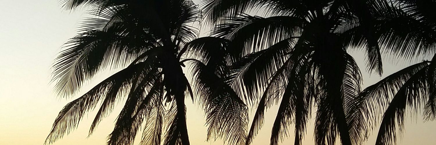 dayannagordon's profile banner image