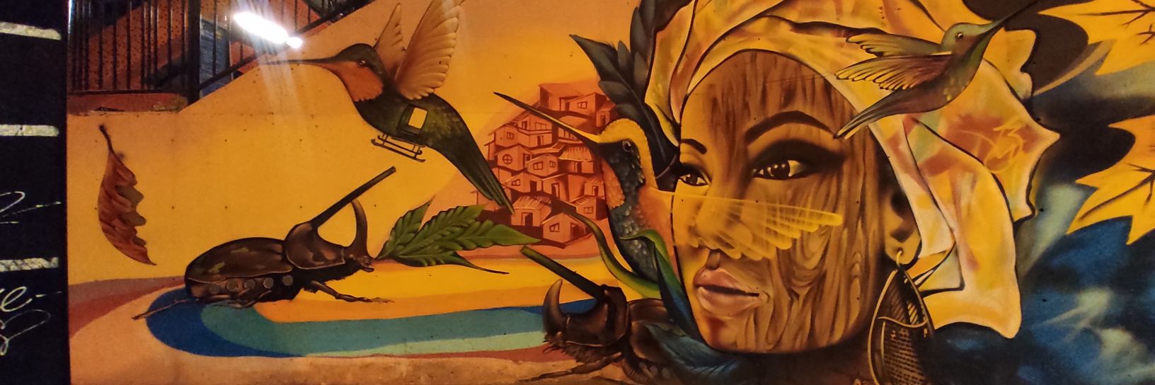 CamiloMedranoC's profile banner image