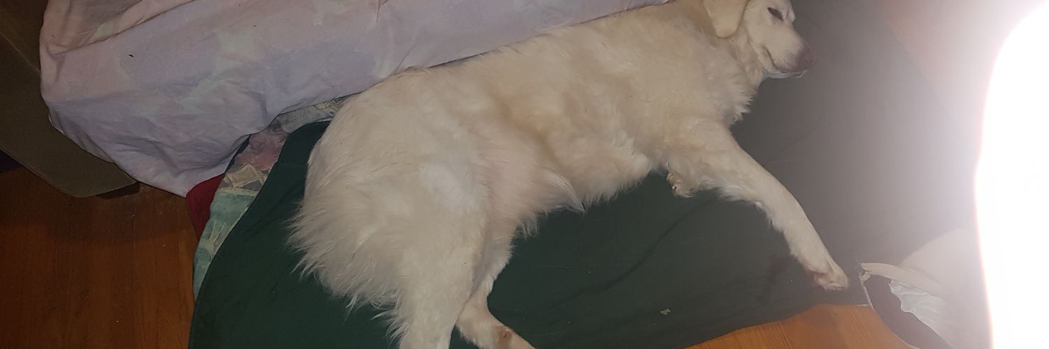 danbaragar7's profile banner image