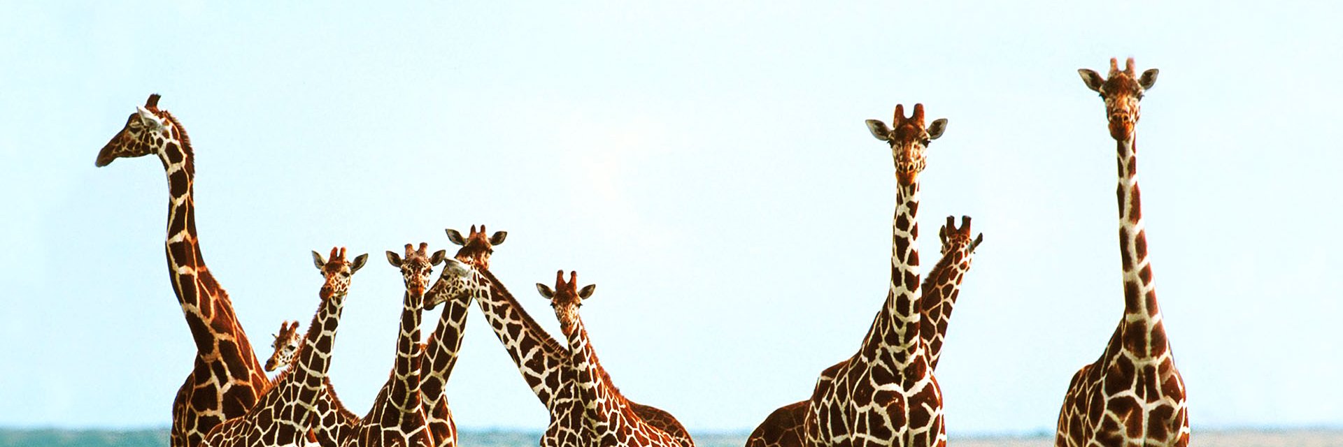 rprasant007's profile banner image