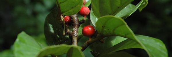 UmrAmap Profile Banner