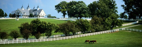 AmandaKSilvaMD Profile Banner