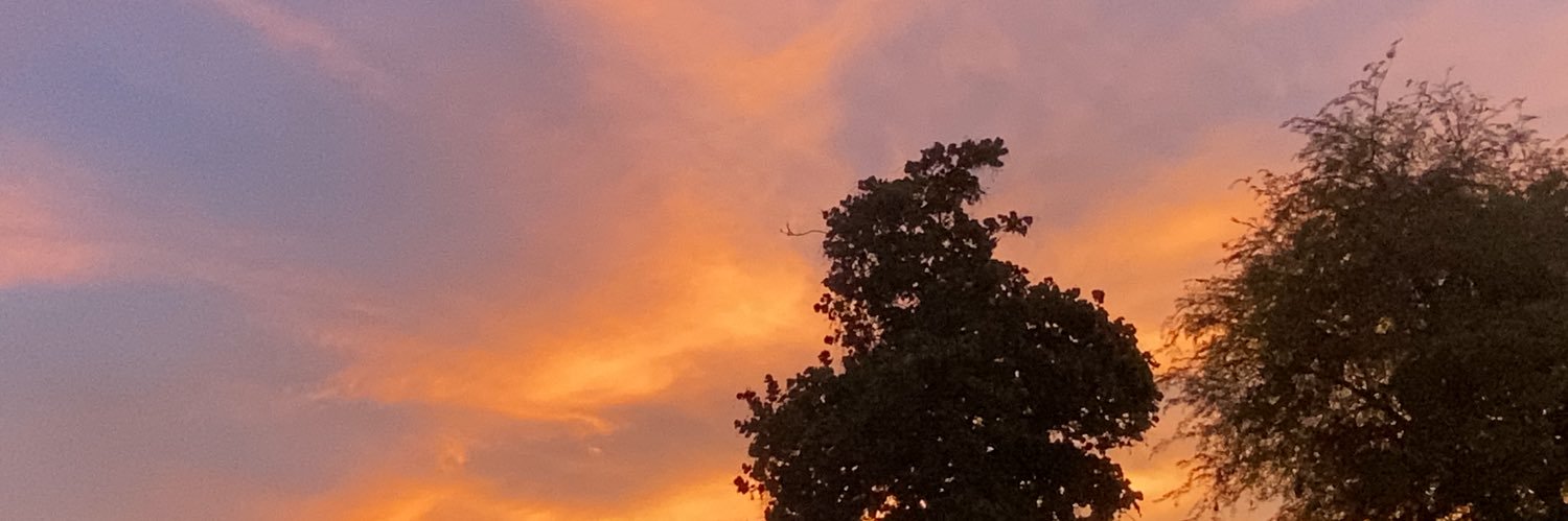 Katherine_gut's profile banner image