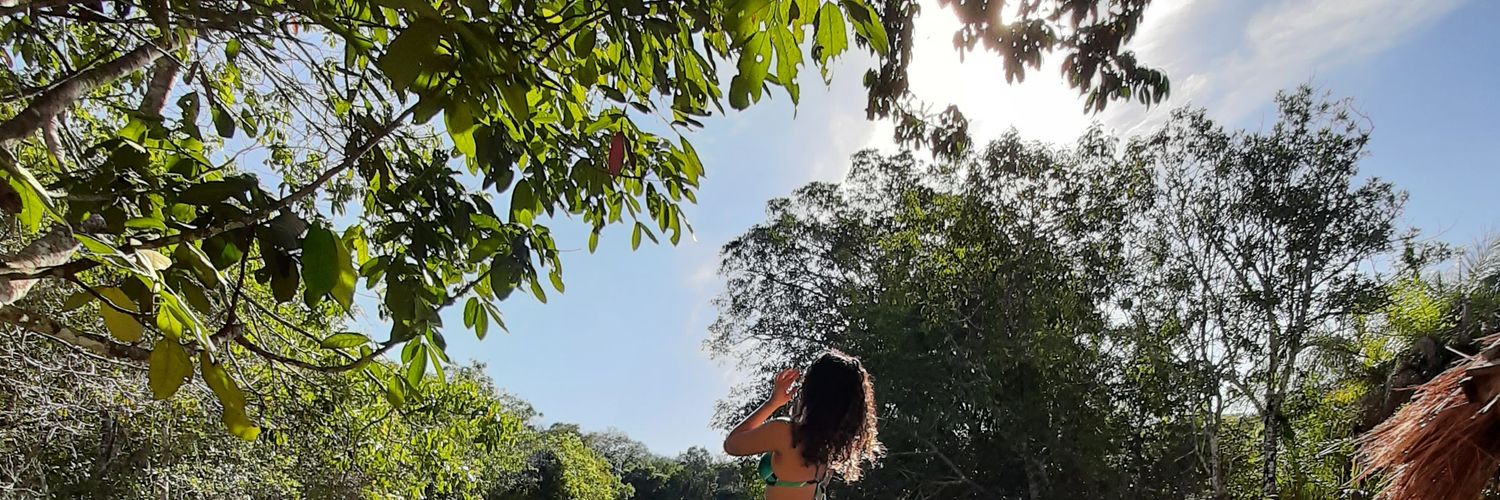 liriene_'s profile banner image