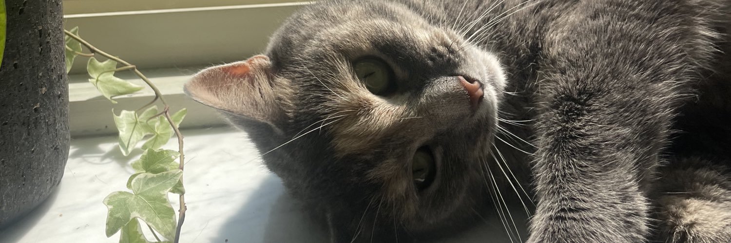 cylieann6's profile banner image
