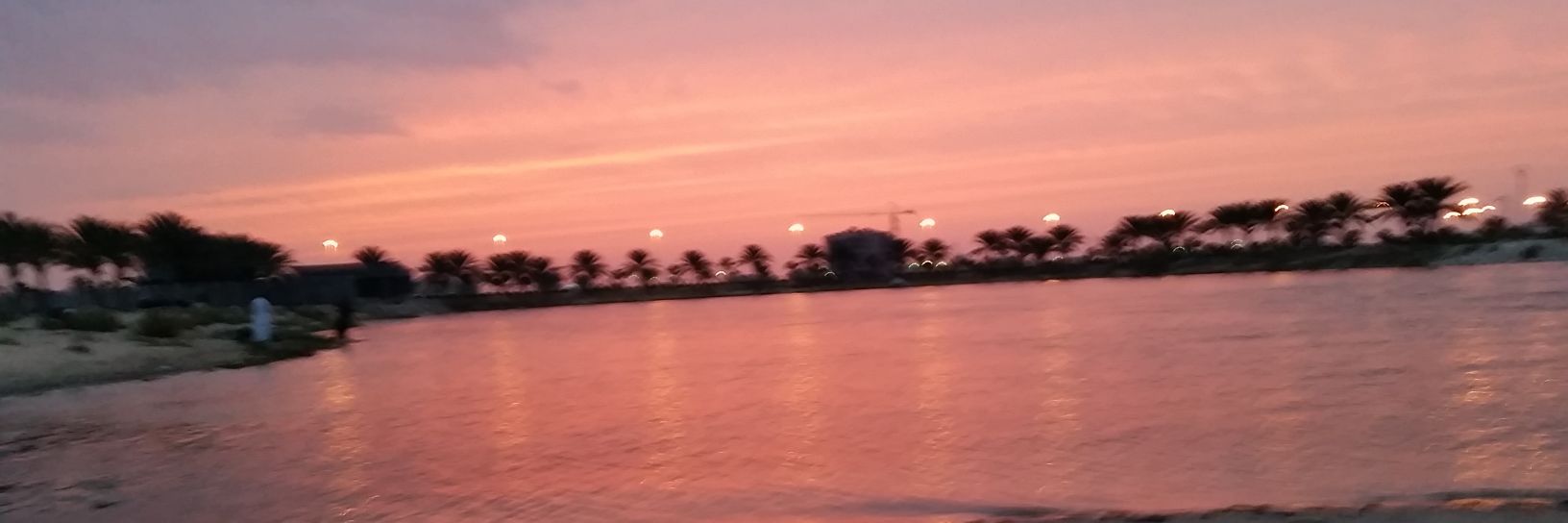 alttyar's profile banner image