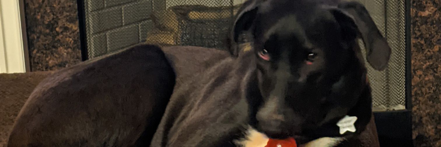 bdrouse4's profile banner image
