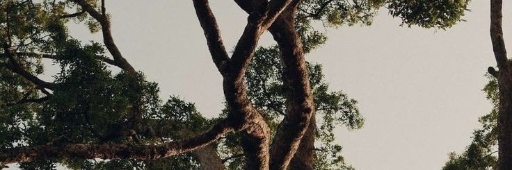 wonbientz's profile banner image