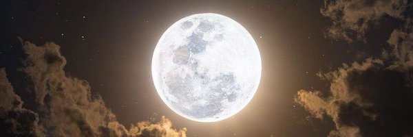 Nyabul4 Profile Banner