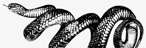 The old M can’t come to the phone right now banner