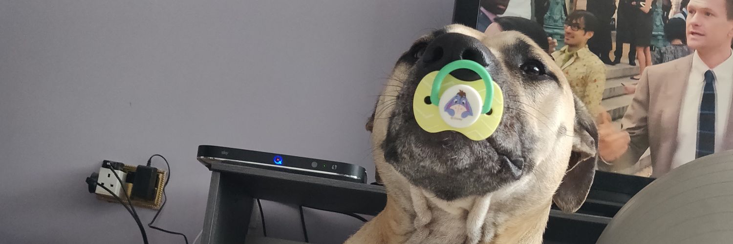 JoanneCockerill's profile banner image