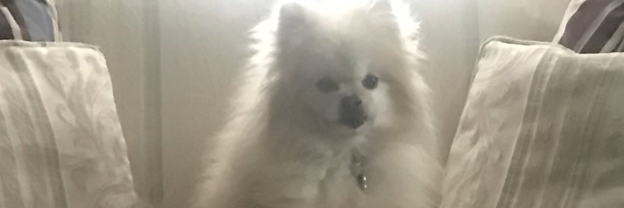 Kuergin's profile banner image