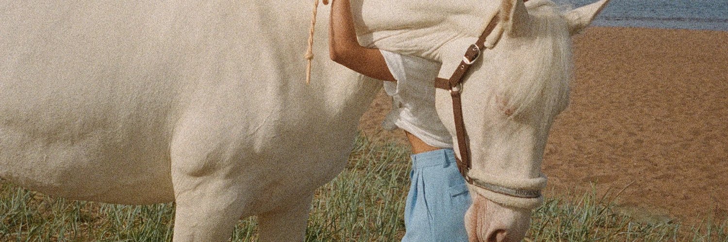 Equestrian Co. banner