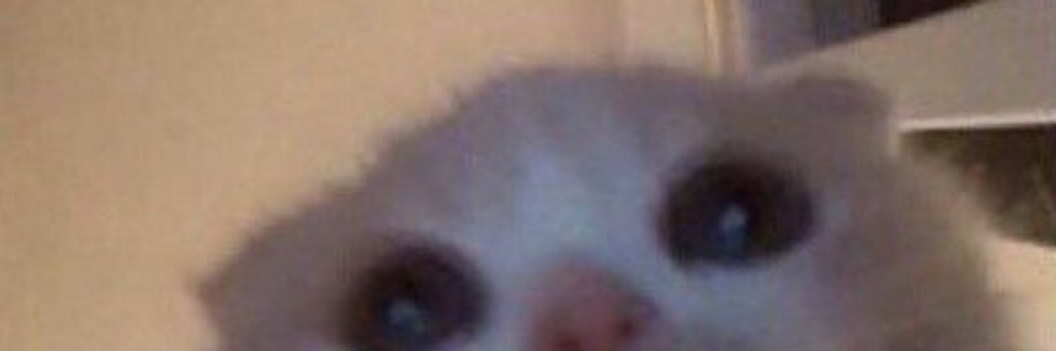 madu2416's profile banner image