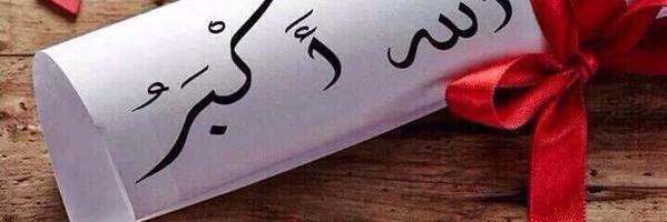 halaa19933's profile banner image