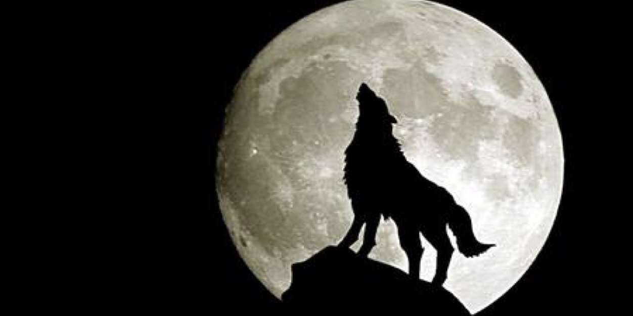 Local199's profile banner image