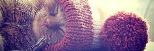 missbonuss's profile banner image