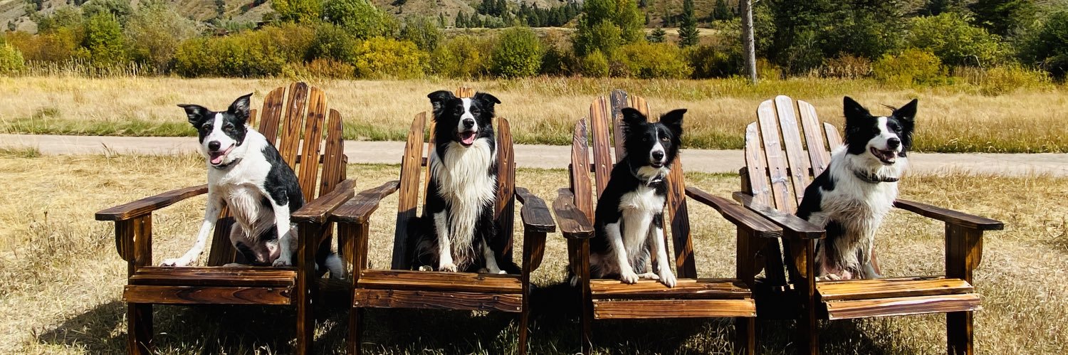 Flyaway Geese banner