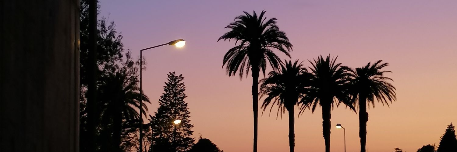 daisy_flowered's profile banner image