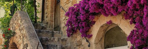 Mrs_JAnderson Profile Banner