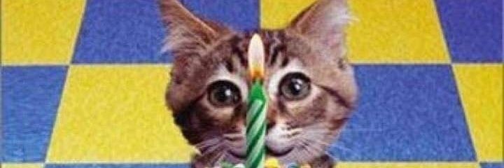 sarnentar's profile banner image