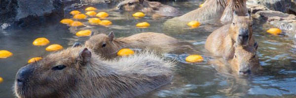 cwango_ Profile Banner