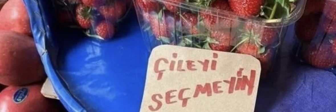 Ali banner