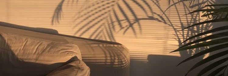 dinarasy's profile banner image