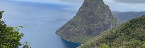 Vinestain Profile Banner