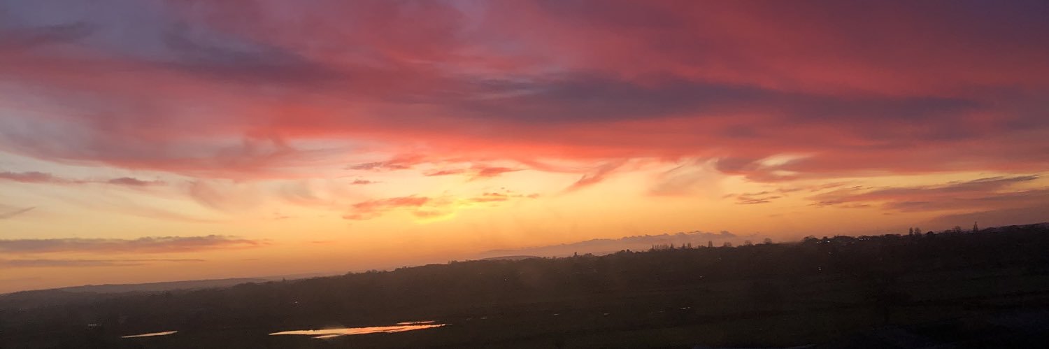 ellaloubateman's profile banner image