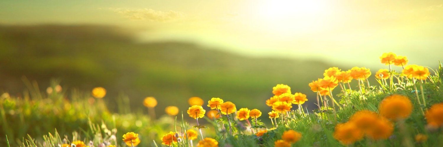 CRcomment's profile banner image