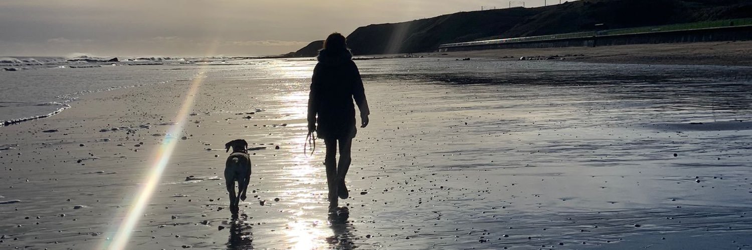 Jenny Lingrell banner