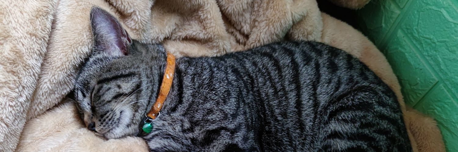 dungoptimus's profile banner image