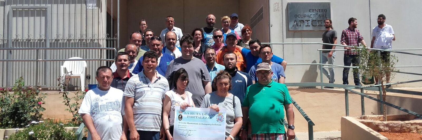 APICES Salud Mental banner