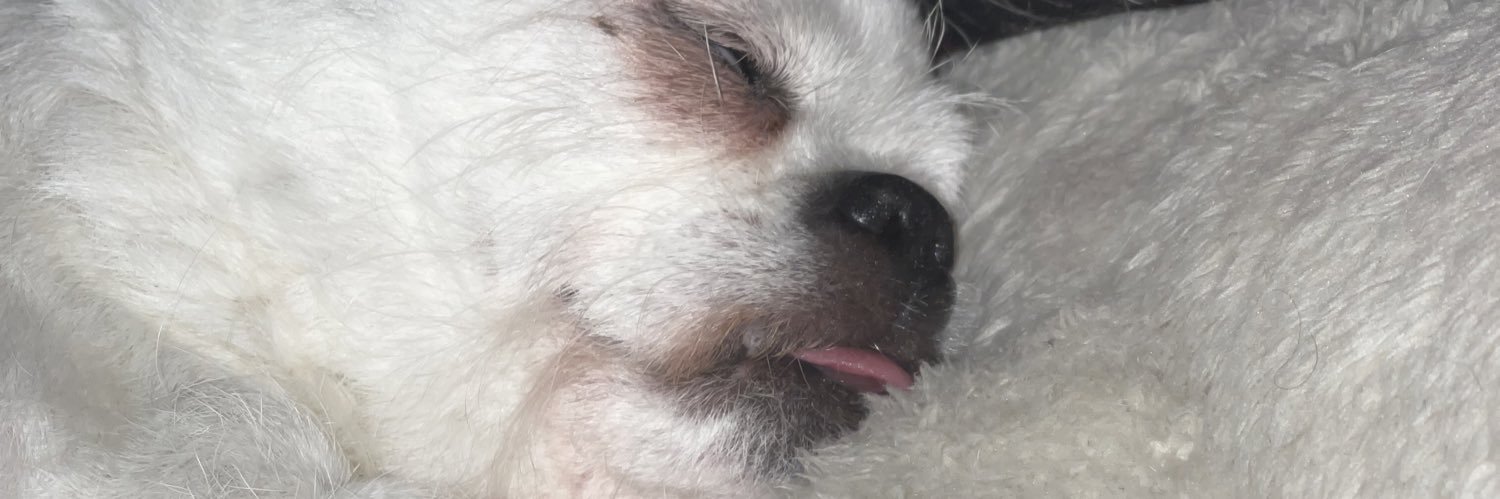 pborshay's profile banner image