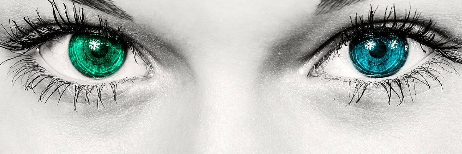 silvanayluis's profile banner image