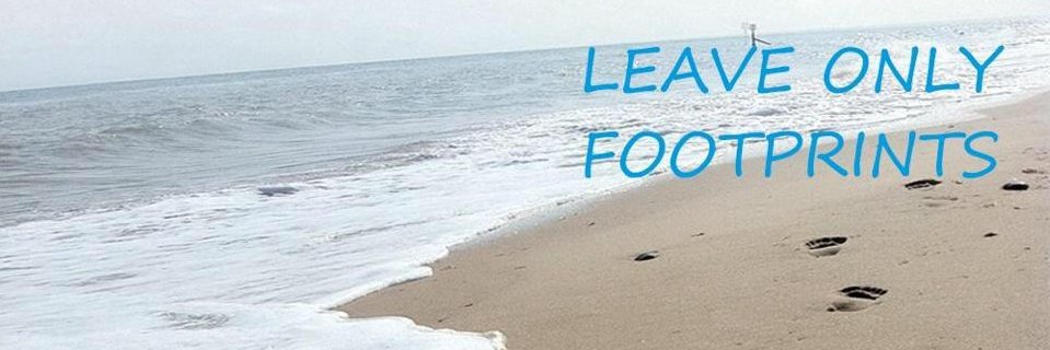 nrthnorfolkbeachclns banner