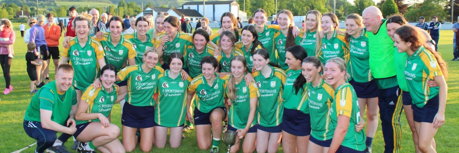Toomevara Camogie banner