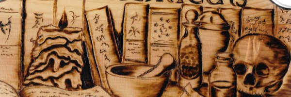 AllkinsDavid Profile Banner