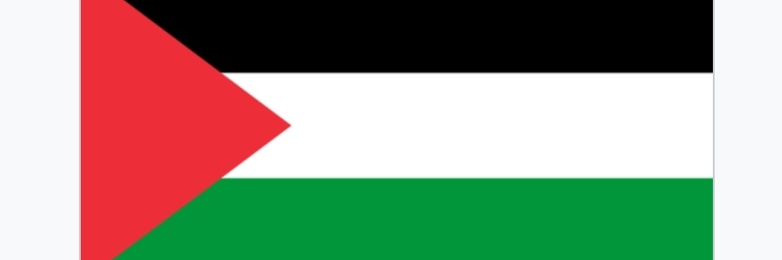 free Palestine banner