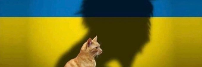 MeeMikael's profile banner image