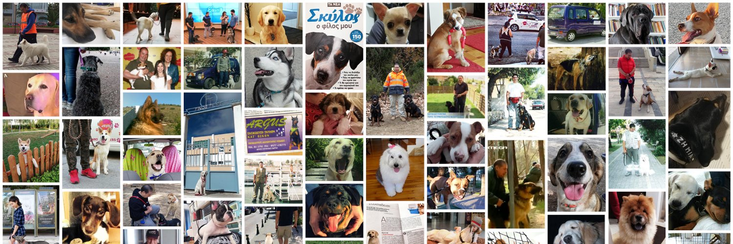 argusdogmd's profile banner image